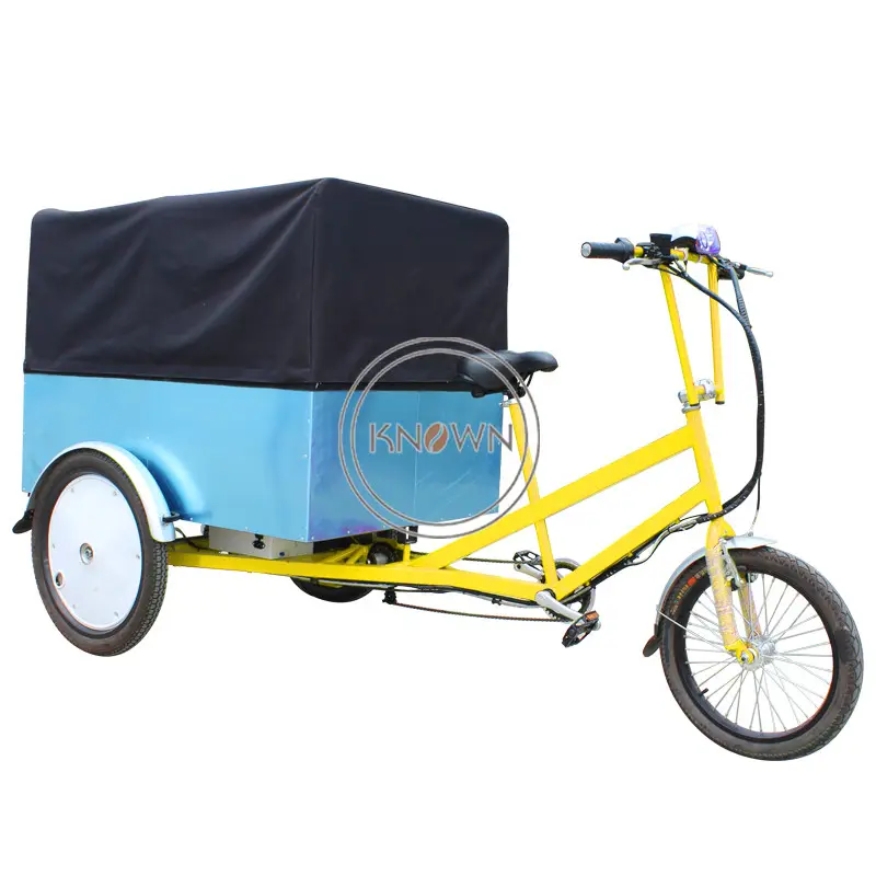 2023 Courier Trike triciclo da carico per camioncino a tre ruote per adulti con cabina