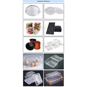 DB-42/68 Thiết Kế Hiện Đại Nhựa Chậu Hoa Làm PP Tấm Thermoforming 2Mm Thermoforming Bát Máy - Product Image 6