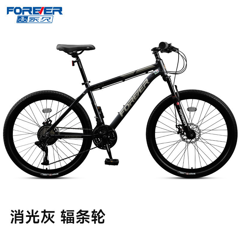 Matte gray aluminum frame, spoked wheels, oil discs