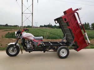 סין חדש 3 גלגל apsonic אופנוע תלת אופן דלק מטען חוות אופניים ממונעים מקוררים מוטו למבוגרים - Product Image 6