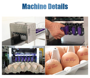 Macchina automatica per la codifica delle uova stampante per uova data di scadenza macchina da stampa