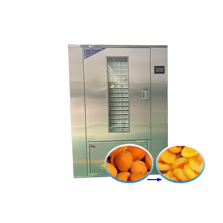 Bomba de calor Fruta Cebolla orgánica Secador de batata Equipo de procesamiento Jackfruit Higo Secado Mango Albaricoque Máquina de secado