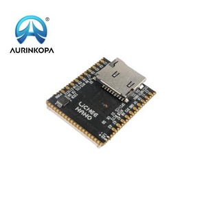 Lichee Nano Linux scheda di sviluppo F1C100s ARM9 processore 32MB DDR 16MB SPI Flash Slot TF integrato - Product Image 3