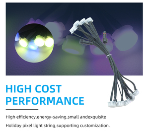 サンリーLEDピクセルライトコントローラー付きLEDピクセルライト屋外LEDストリングライトクリスマス用 - Product Image 4