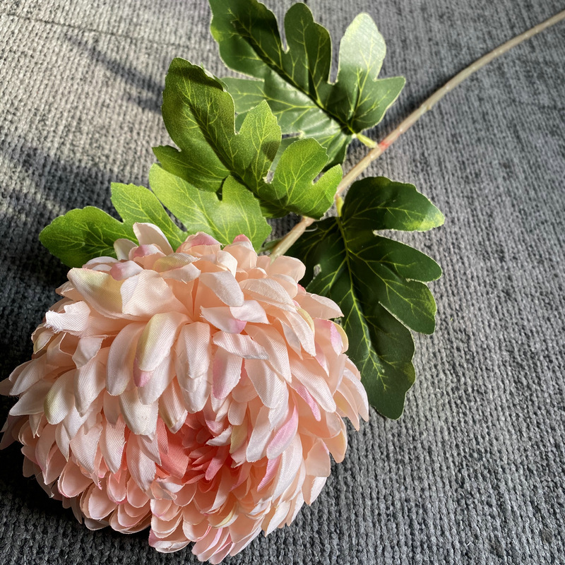 Rose nu