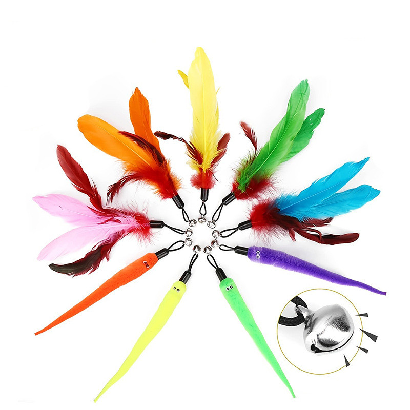 gusano/pluma