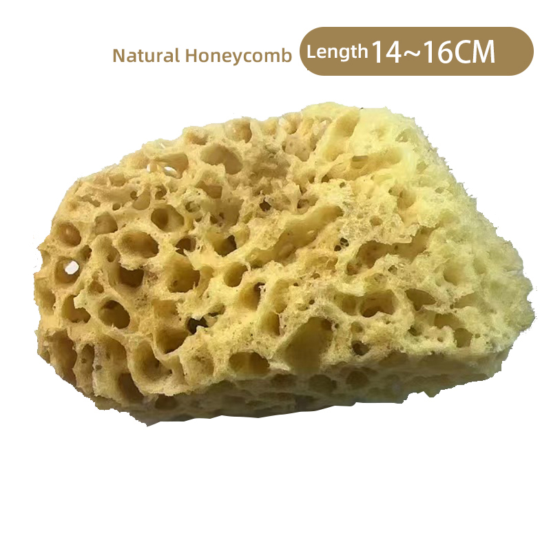 Nid d'abeille naturel H16N 14-16 cm