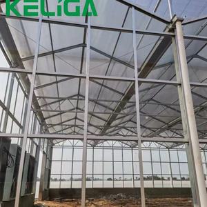Hot Selling Hot-Dip Galvanized Structure Glass Greenhouse - Product Image 5