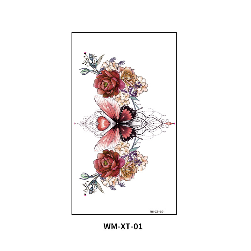 WM-XT-01