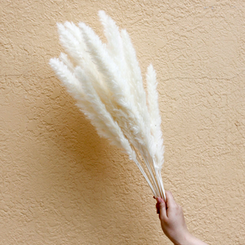 หญ้าแพมปาสขนาดเล็กสีขาว15ชิ้น/มัด