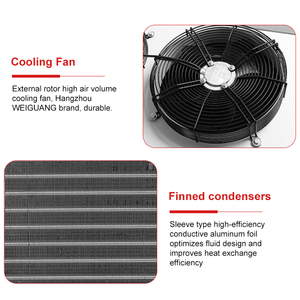 Professional Manufacturer Plastic Injection Molding Machine <strong>50hp</strong> Freezer Injection Mold Industry Air Cooled <strong>Chiller</strong>