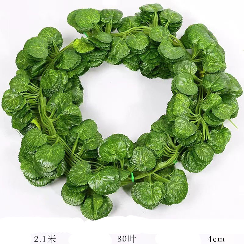 C-81 leaves Green