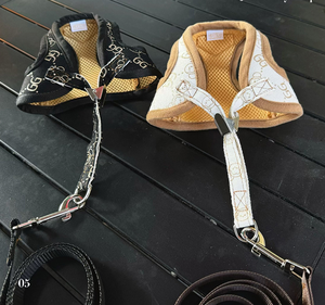 Penjualan laris rompi hewan peliharaan bentuk kartun berjalan modis Set <span class=keywords><strong>Harness</strong></span> anjing nyaman latihan luar ruangan - Product Image 5