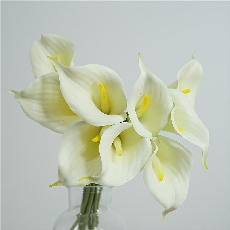 Bouquet de 9 Callas Blancs - Modèle Standard