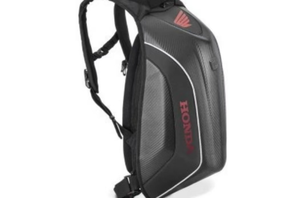 Hond estándar - 19 pulgadas