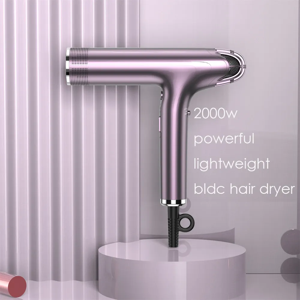 auto clean function powerful bldc 110000rpm pro hair dryer with no burden for long time styling