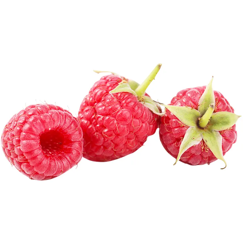 Fruits congelés IQF Baies mélangées Myrtille Mûre Fraise Framboise