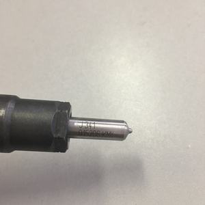Инжектор Common Rail EMBR00301D для Delphi - Product Image 5
