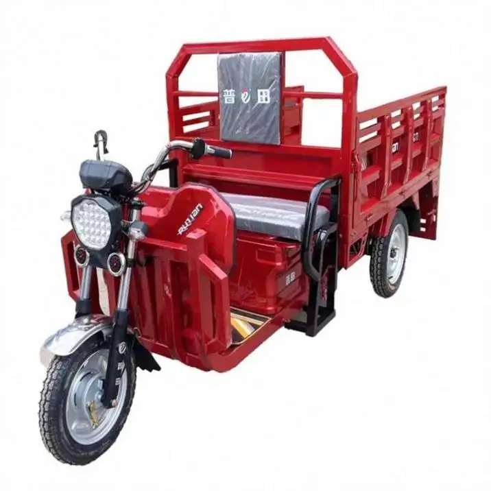 FOLDING CHEAP 48V TRIKE 110-125Cc Three Wheel Motorcycle With Cheap Price