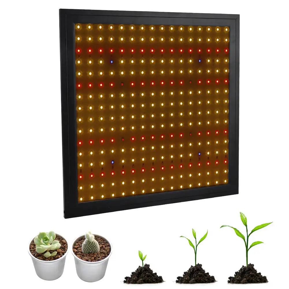 Luci per la crescita delle piante in serra frutta e verdura succulente luci progressive per interni luce di riempimento a sospensione