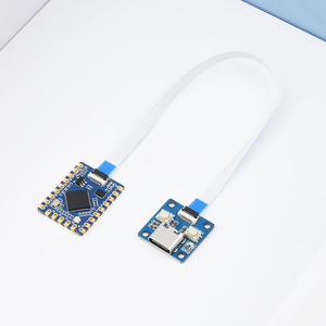 <strong>Raspberry</strong> <strong>Pi</strong> RP2040 Tiny microcontroller development board