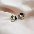 Luxury Black zircon earrings for women versatile fashionable and exquisite earrings