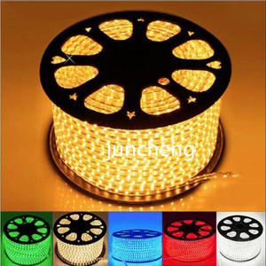 RGBW RGBコントローラー付きストリップライト防水耐熱120v 110v 220v rgb - Product Image 1
