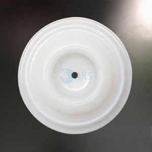 高品质聚四氟乙烯隔膜01-1010-55气动动力源0.5 “用于净水的隔膜泵2” 用于Wilden的出口 - Product Image 1