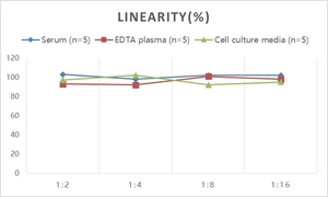 İnsan CFB (tamamlayıcı faktör B) ELISA seti - Product Image 3