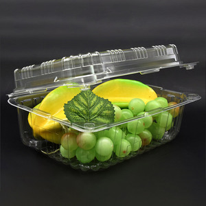 Пластиковая прямоугольная упаковочная коробка с откидной крышкой - Product Image 5