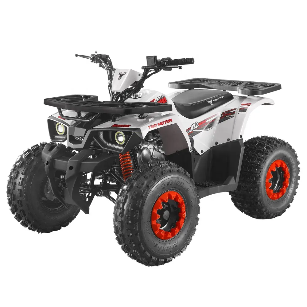 Tao Motor en çok satan çin ucuz ATV 125 125cc ATV 125cc