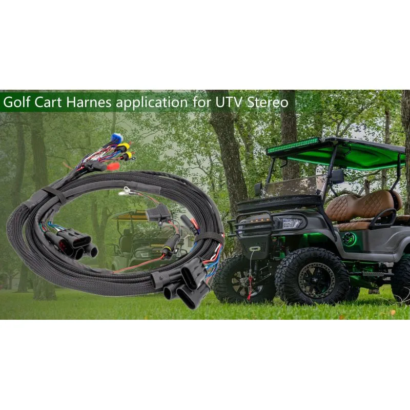 Customized Golf Cart wire Harness For Golf Cart Audio System