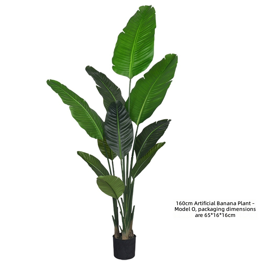 Travelers palm model O-160cm-packaging 65cm-includes factory-sup