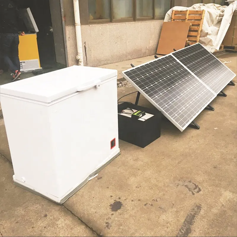 158L 12V 24V DC congelatore solare congelatore a energia solare con pannello solare