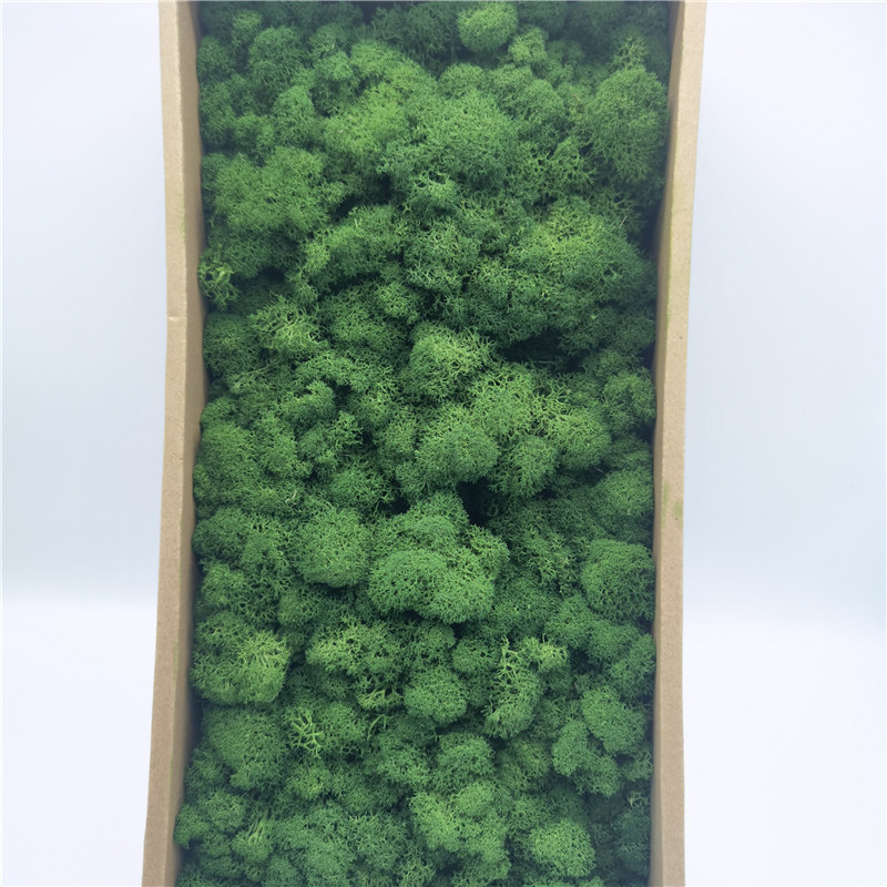 L08 verde bosco-500g
