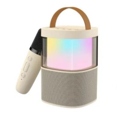 Havit GT-K2 2023 Portable Home LED RGB Mini Haut-Parleur avec Microphone BT Karaoké Set Pour Mobile Home Party