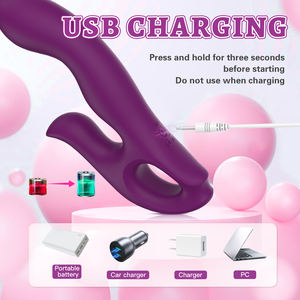 Yove महिलाओं के दोहरे सिर हैंडहेल्ड तरल सिलिकॉन एब्स हीटिंग योनि वाइब्रेटर डिल्डो ipx65 वाटरप्रूफ 10 स्पीड g-स्पॉट खरगोश - Product Image 6