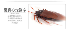 Prank <strong>Toy</strong> Infrared Remote Control Electric Cockroach Simulation Induction Cockroach Puzzle <strong>Toy</strong> Animal Model for <strong>Joke</strong> <strong>Toys</strong> - Product Image 4