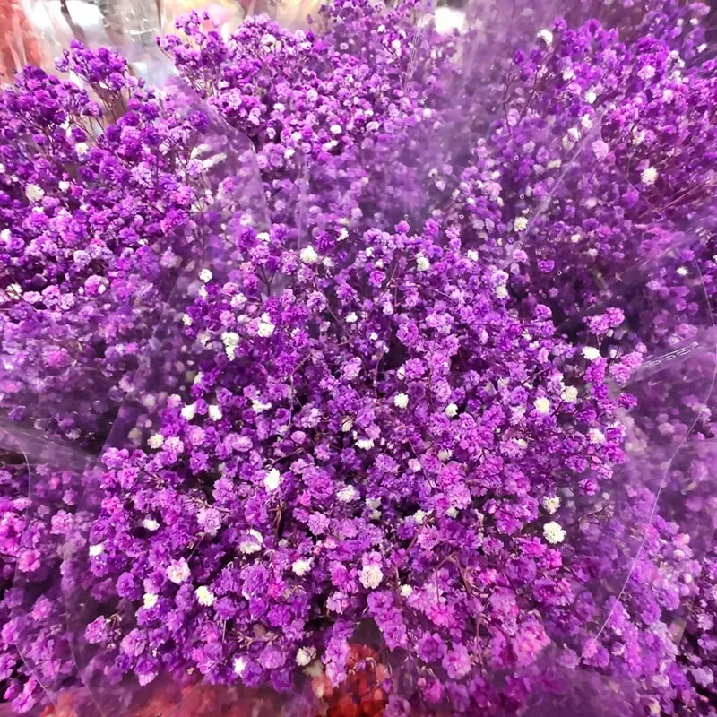 Wholesale Valentine Gift Dried Baby Breath Flowers Artificial Gypsophila Dry Preserved Baby Breath Babysbreath