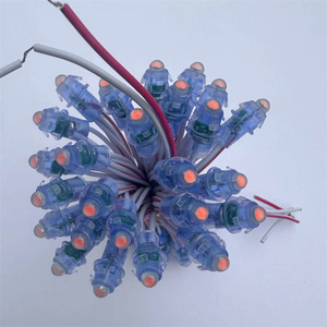 12V Smart <strong>LED</strong> Light <strong>String</strong> WS2811 USC2904 Point Pixels Modules Bullet 12mm Digital <strong>Programmable</strong> RGBIC RGB <strong>LED</strong> <strong>String</strong> Lights - Product Image 1