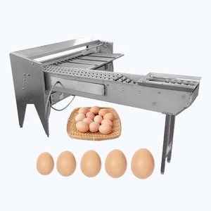 Máquina clasificadora automática de huevos de pato de alta eficiencia/Clasificador de huevos de 10000 piezas por hora/máquina clasificadora electrónica de huevos - Product Image 4