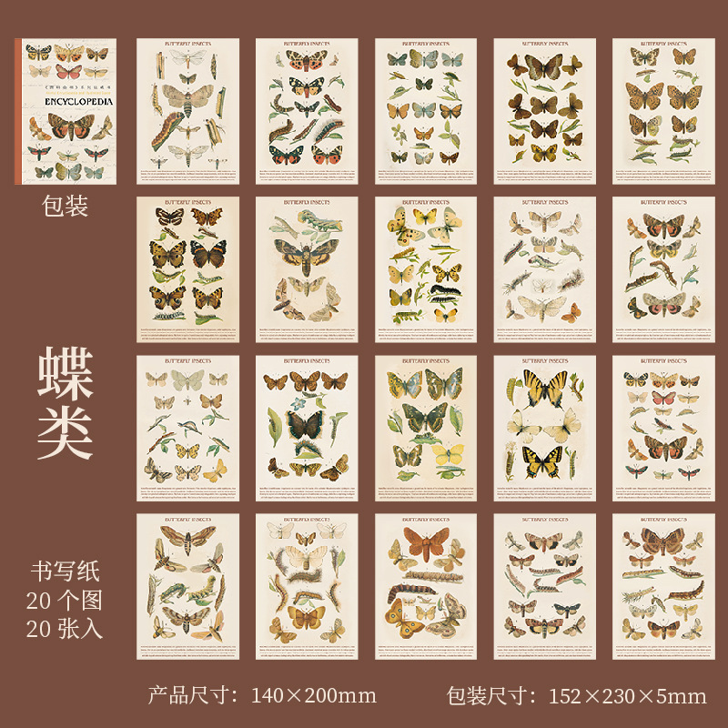 B Mariposas