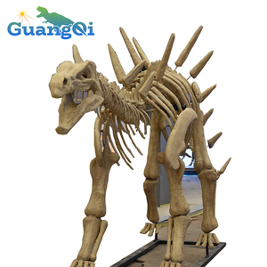 恐龙化石画廊展示了精湛的工艺，非常适合其他恐龙化石骨架 - Product Image 2
