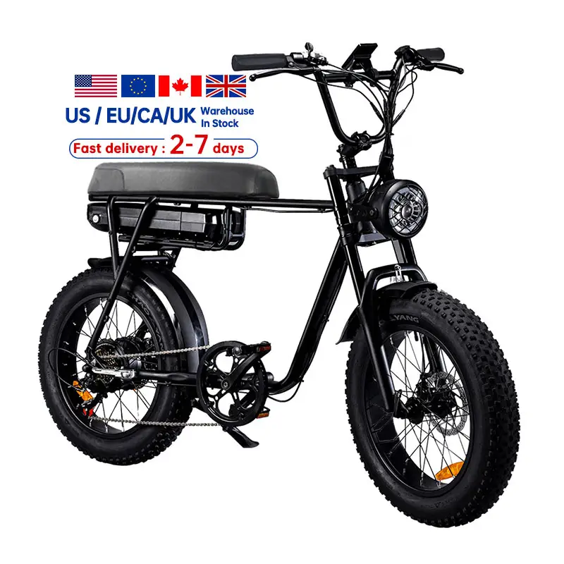 Sensore di coppia bici elettrica magazzino ue bici elettrica Vintage magazzino usa grasso pneumatico bici da neve elettrica eBike Fatbike