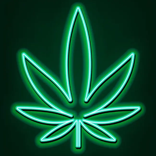 Venta caliente Leaf Sign LED Weed Neon Sign 55 LED Strip IP65 Luces de neón Sexy Lady Sign Art Decorativo Neon Lights Roll 50 Metros 88