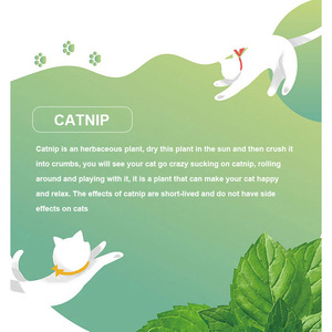 New Popular Product 120ml Natural Healthy <strong>Catnip</strong> Essential Oil <strong>Catnip</strong> Spray for <strong>Cats</strong> - Product Image 2