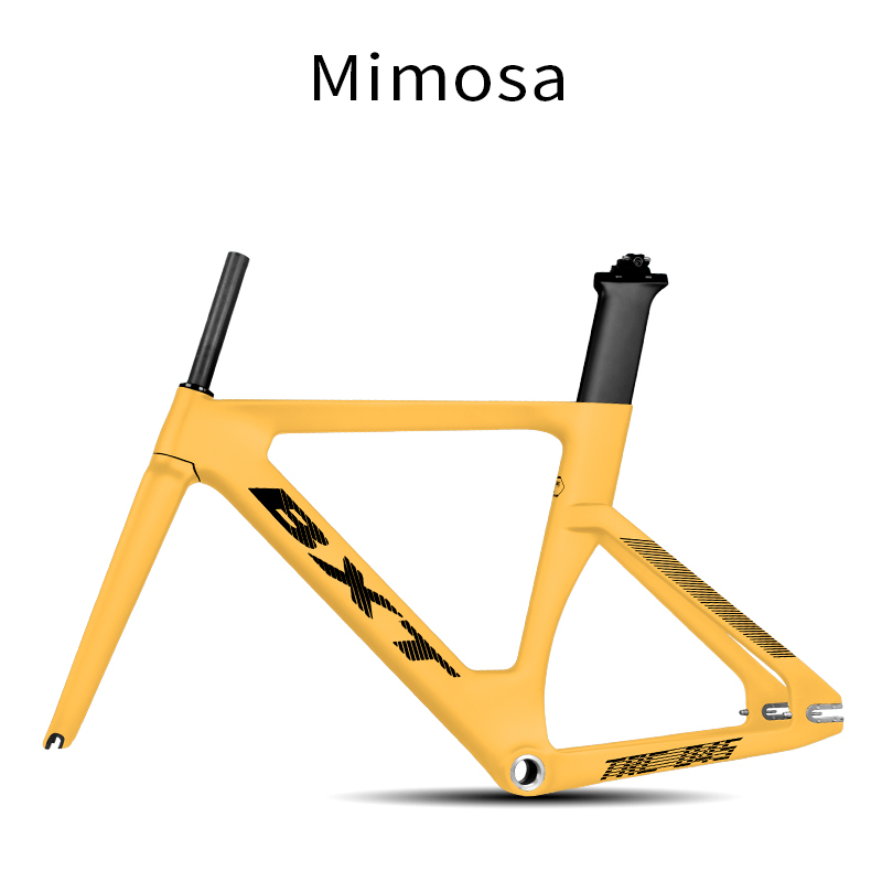 BXT Mimosa yellow