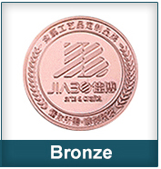 Bronzo