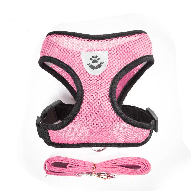 Laisse rose de 1,2 mètre