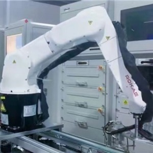 ROKAEコラボレーティブインダストリアルロボット6軸アームパレット化ロボット複合ロボット - Product Image 1
